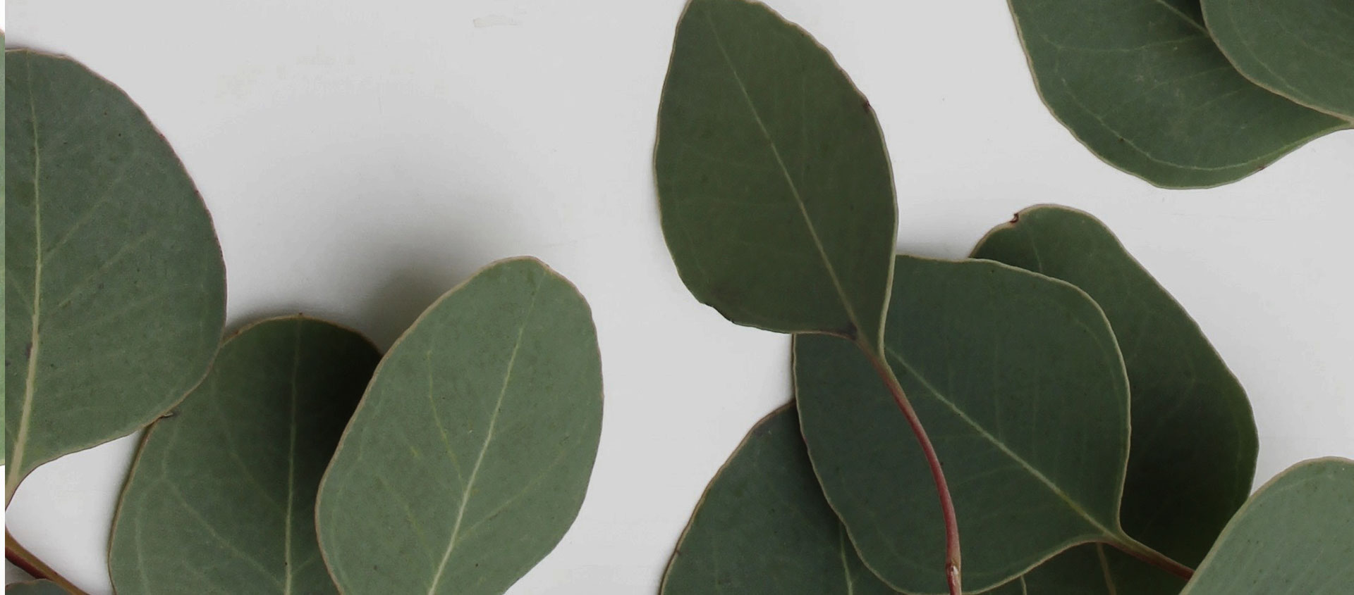 Возврат убытков за незаконное предоставление земельного участка